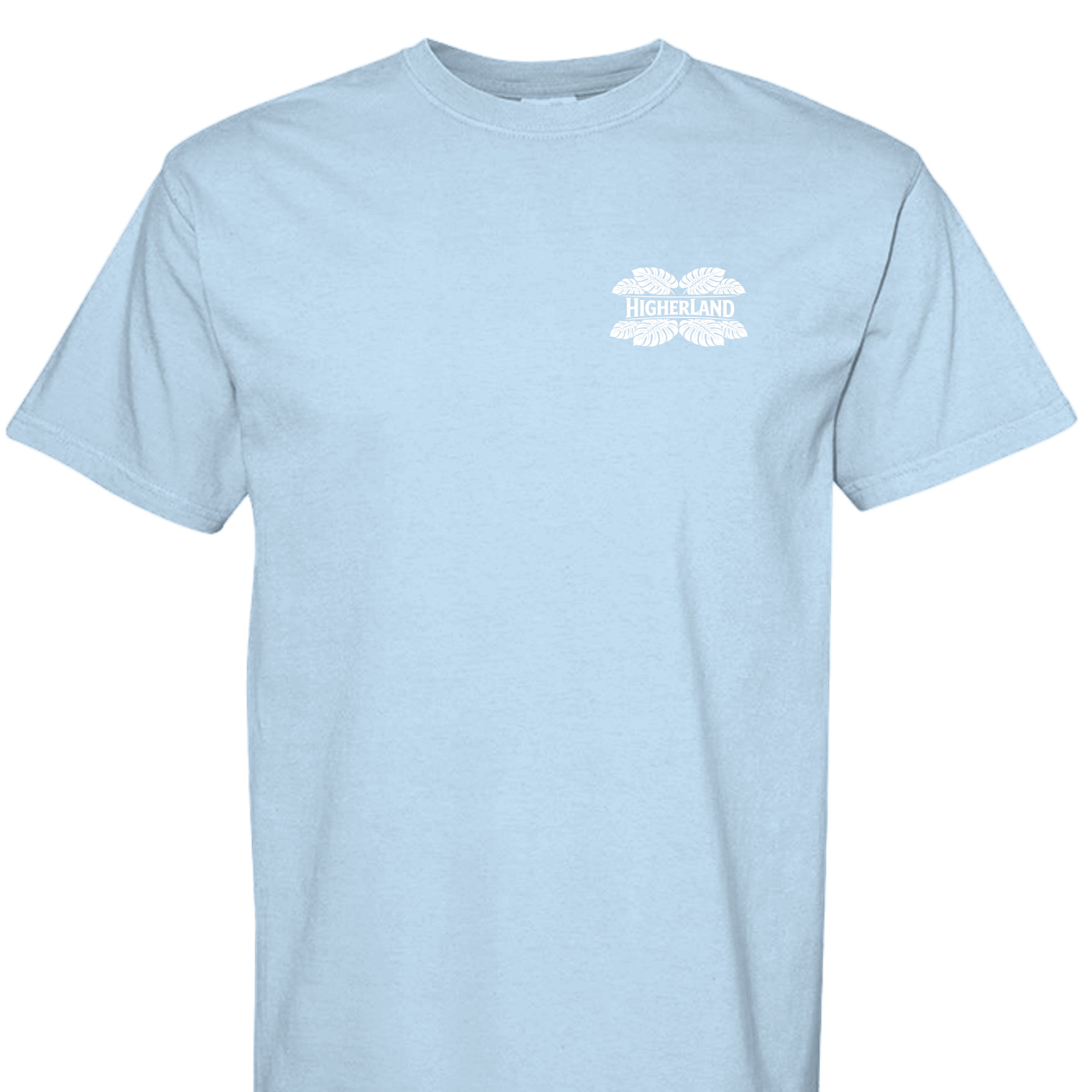 Hydrangea - C1717 - FRONT