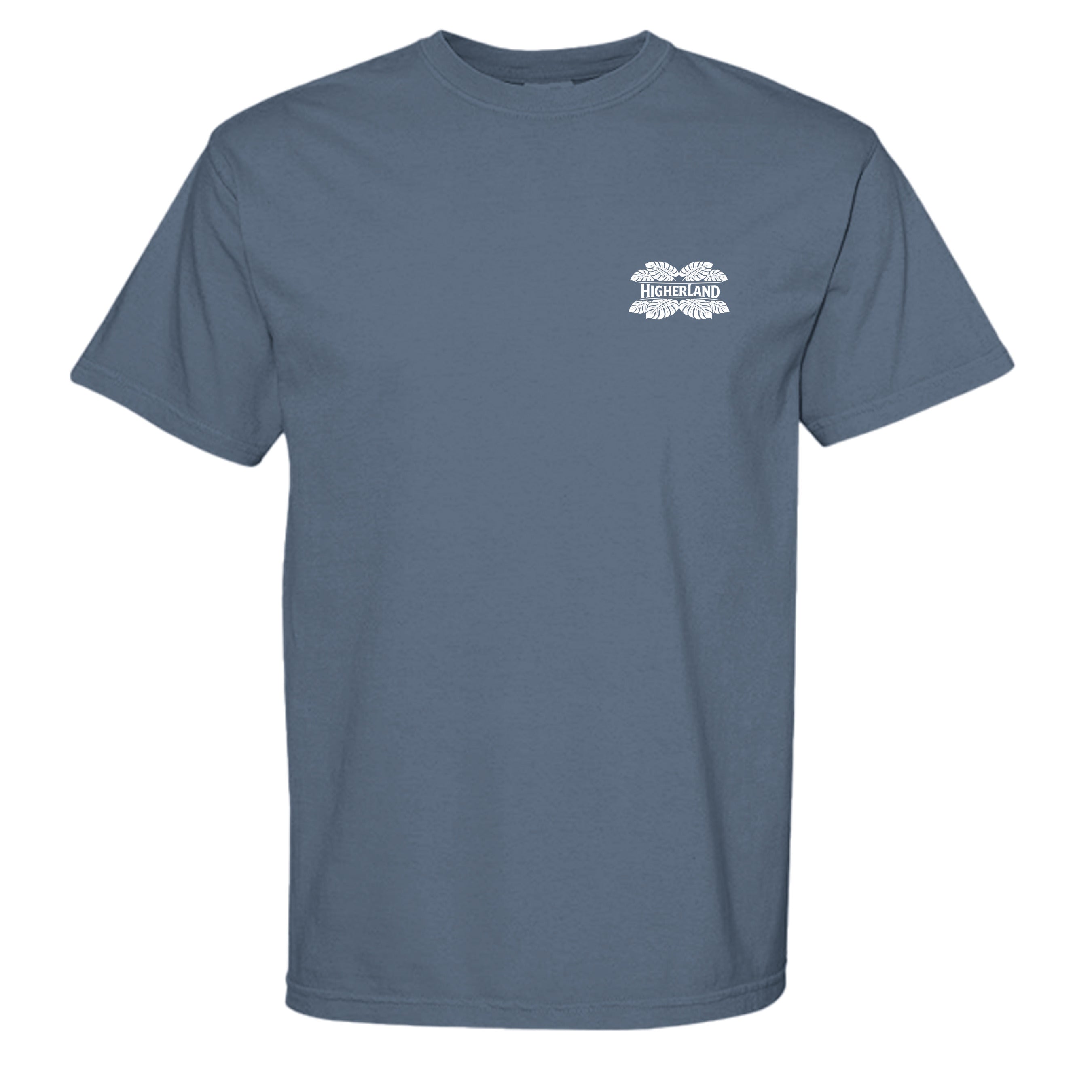 BLUE JEAN - C1717 - FRONT