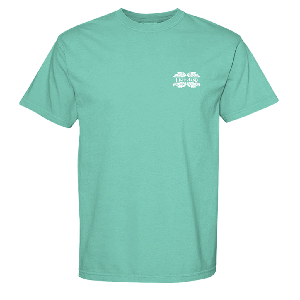 CHALKY MINT - C1717 - FRONT