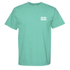 CHALKY MINT - C1717 - FRONT