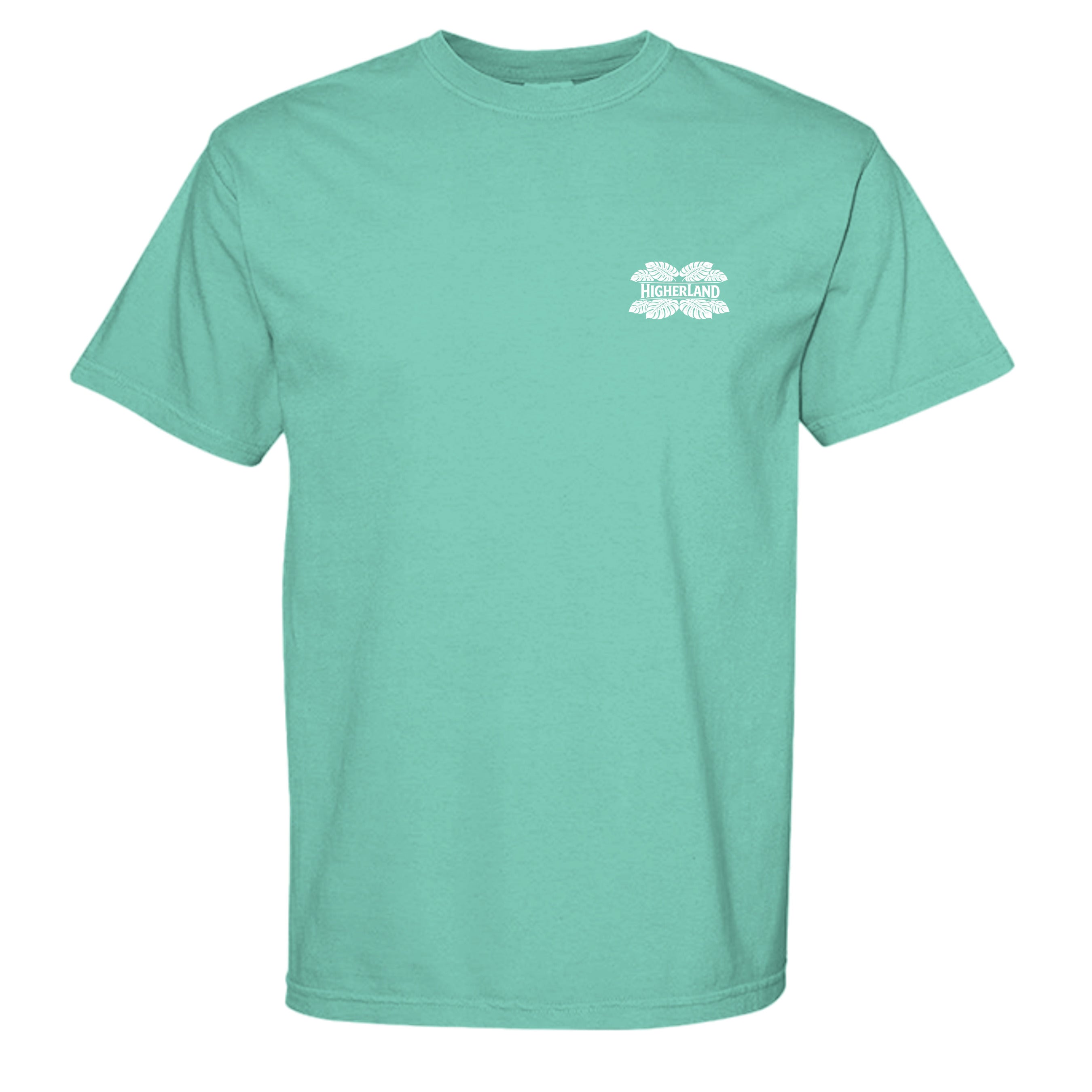 CHALKY MINT - C1717 - FRONT
