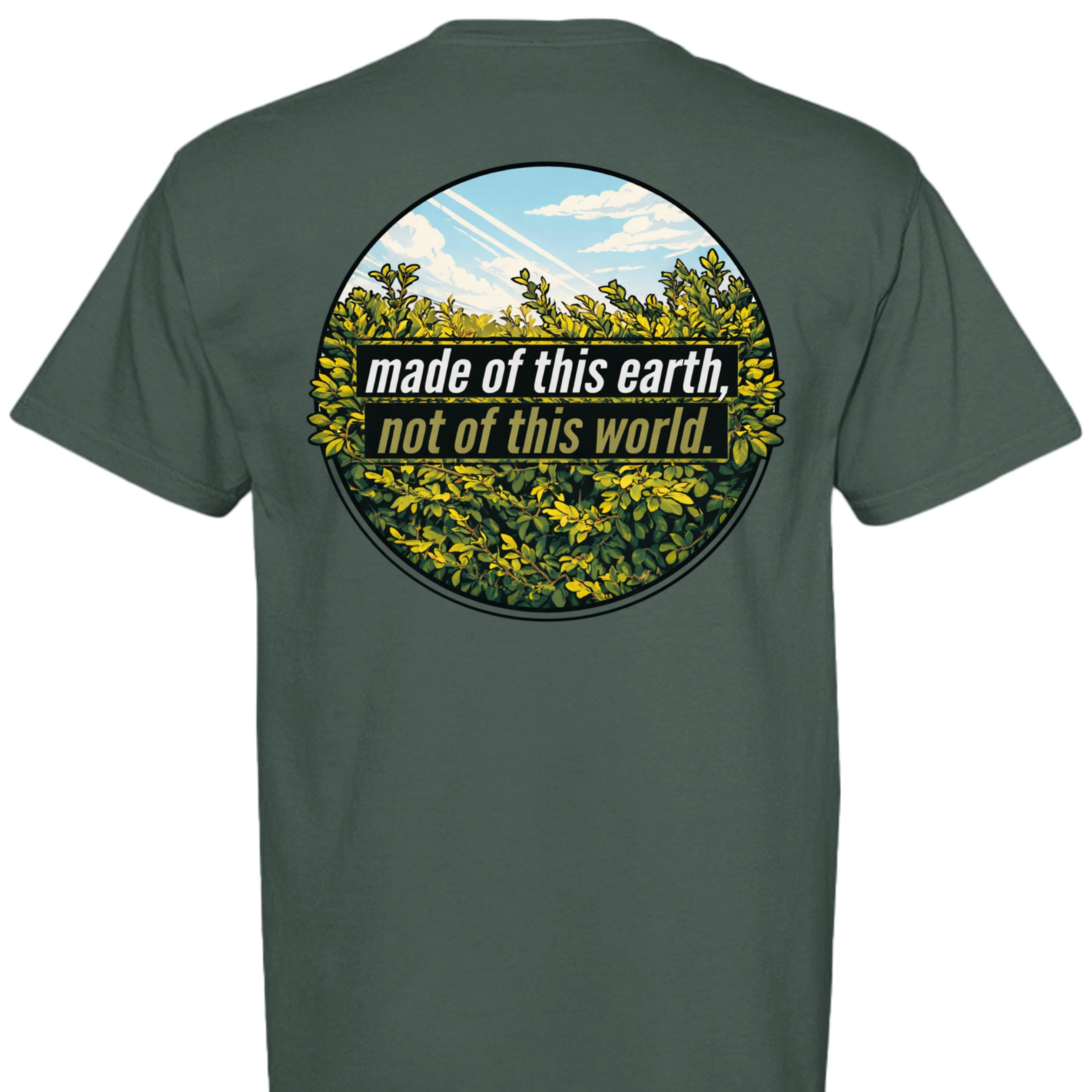 BLUE SPRUCE - C1717 - BACK