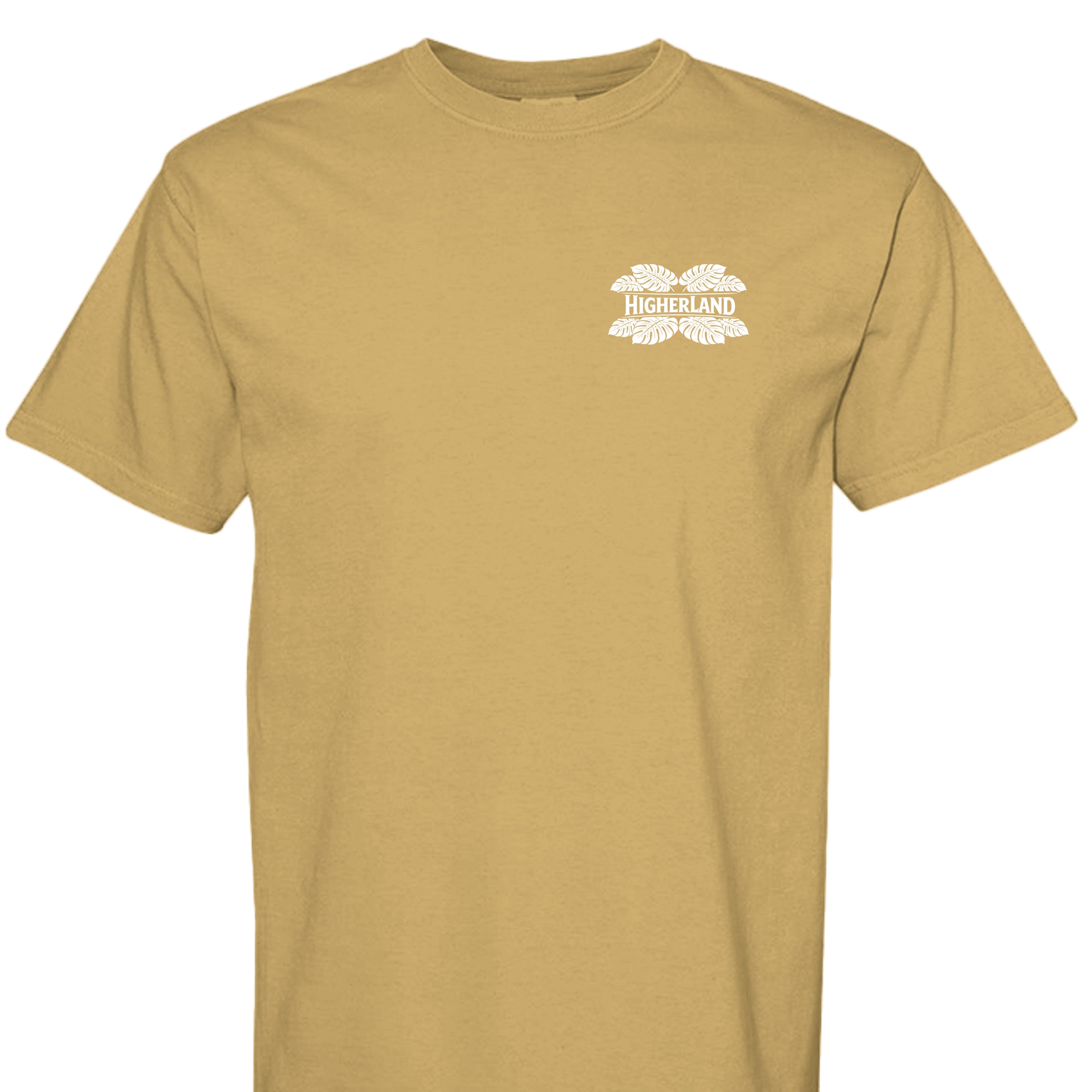 MUSTARD - C1717 - FRONT