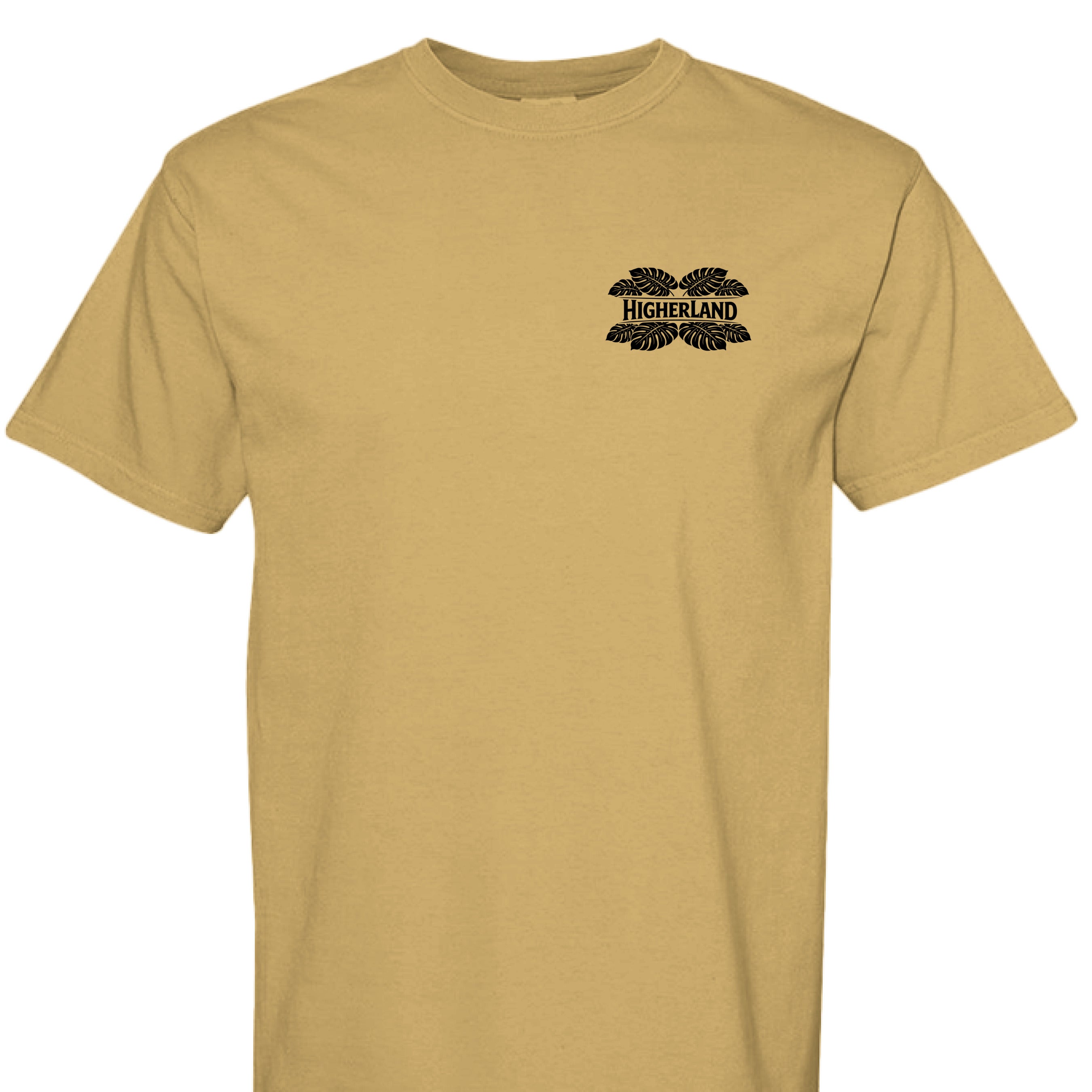 MUSTARD - C1717 - FRONT