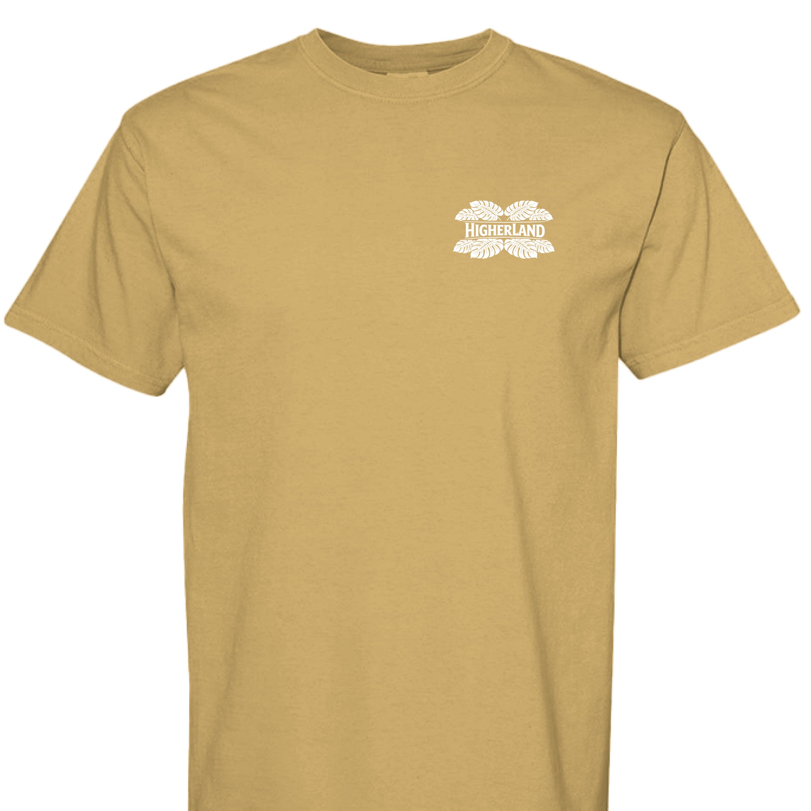 MUSTARD - C1717 - FRONT