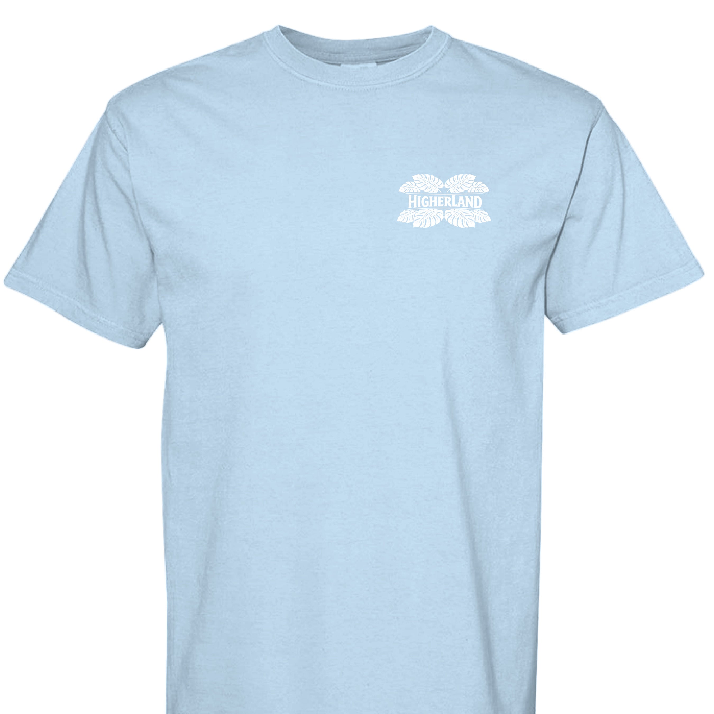 Hydrangea - C1717 - FRONT