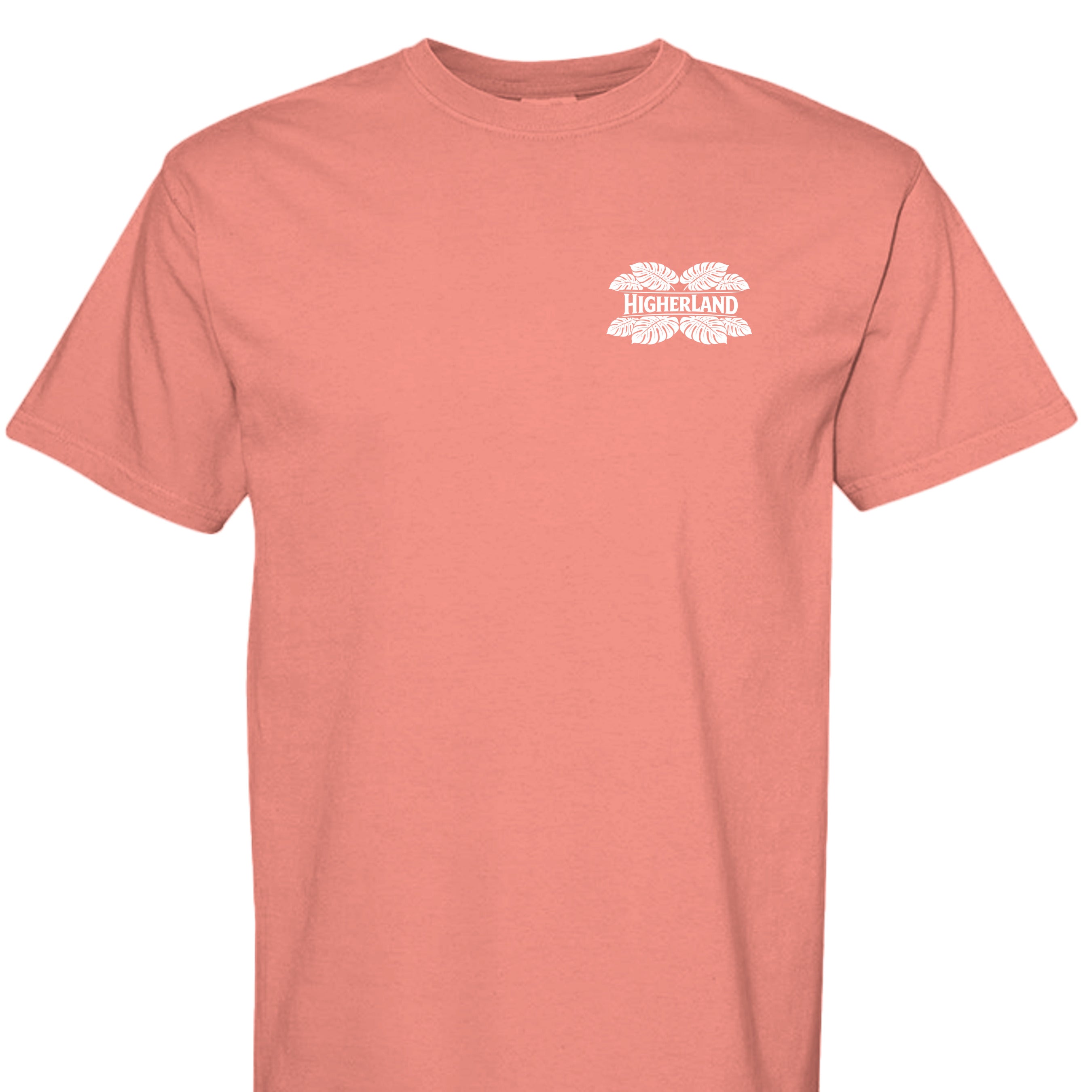 BRIGHT SALMON - C1717 - FRONT