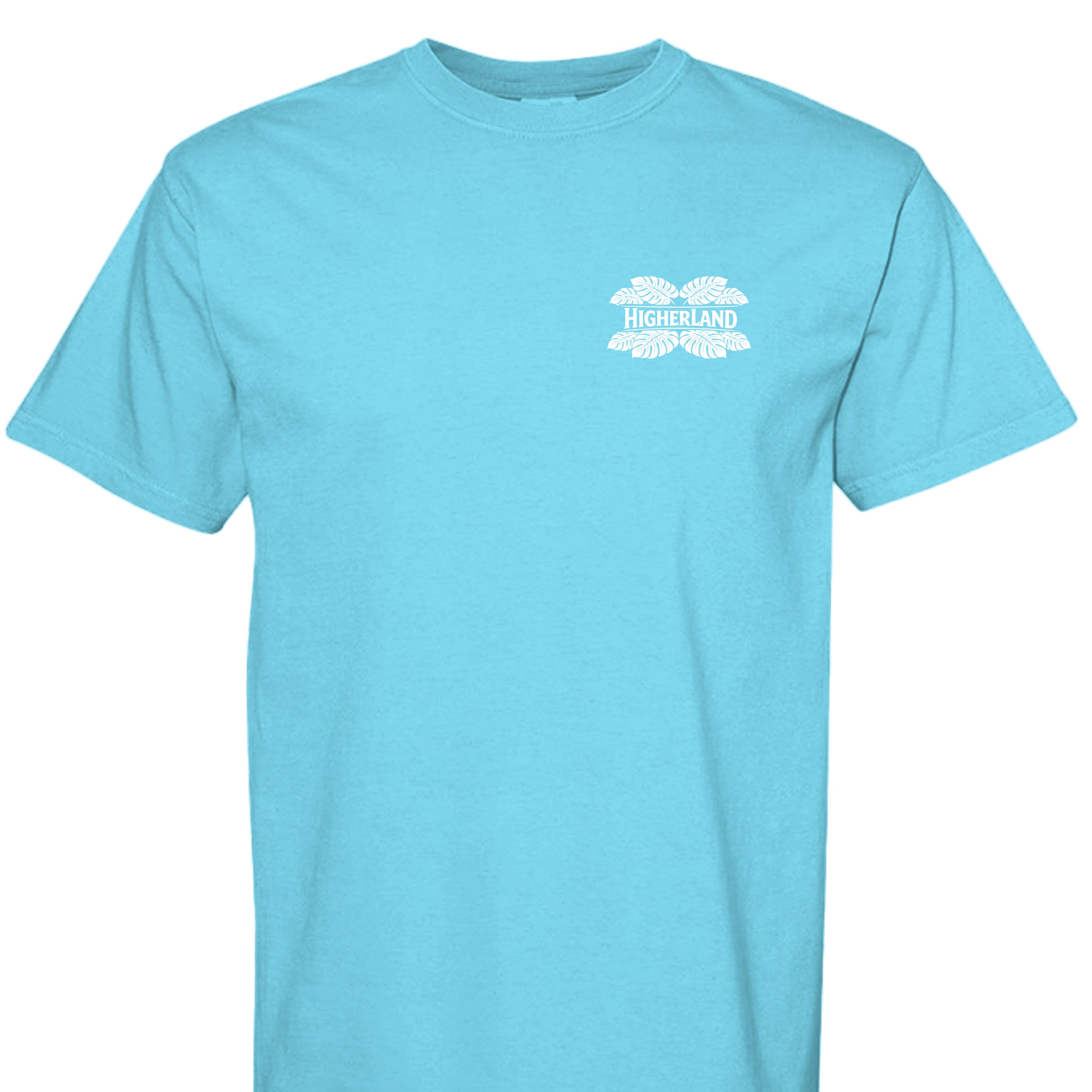 LAGOON BLUE - C1717 - FRONT