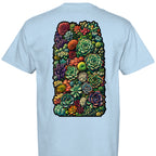 Hydrangea - C1717 - BACK