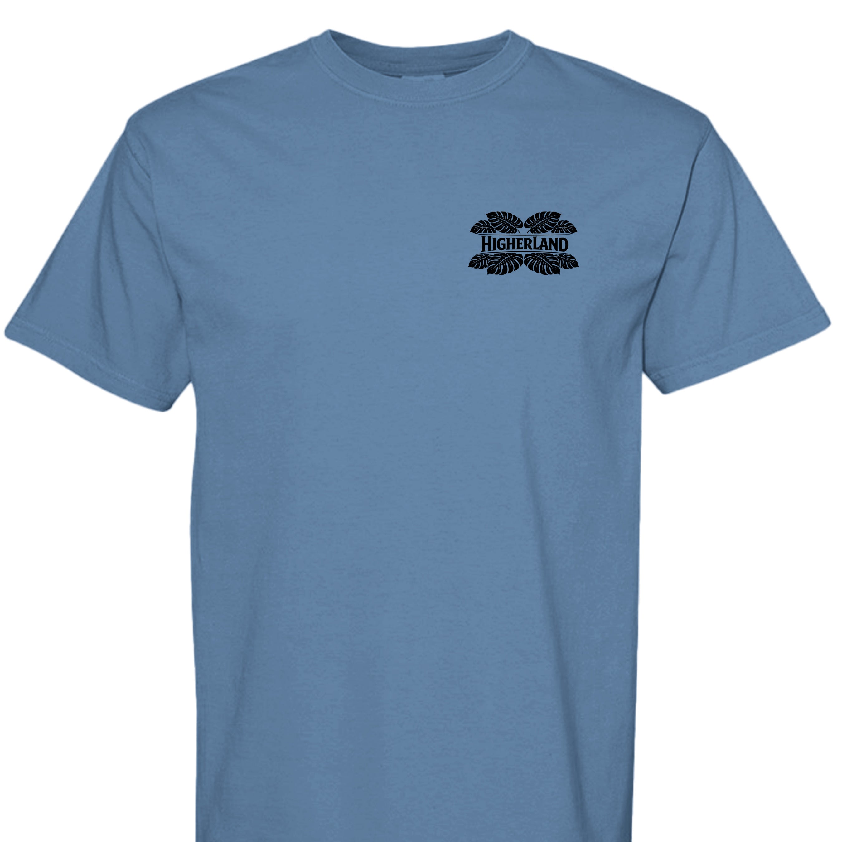 WASHED DENIM - C1717 - FRONT