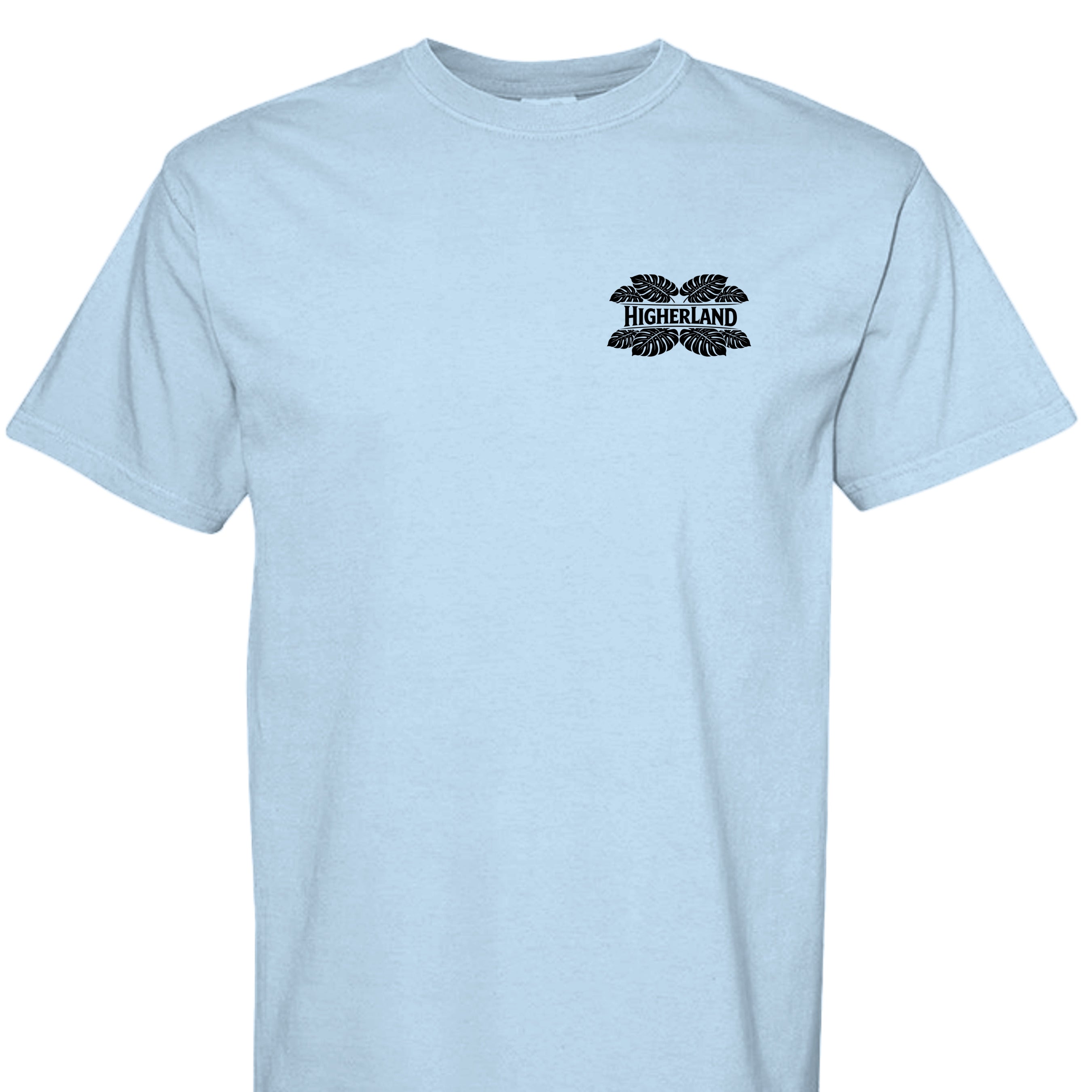 Hydrangea - C1717 - FRONT