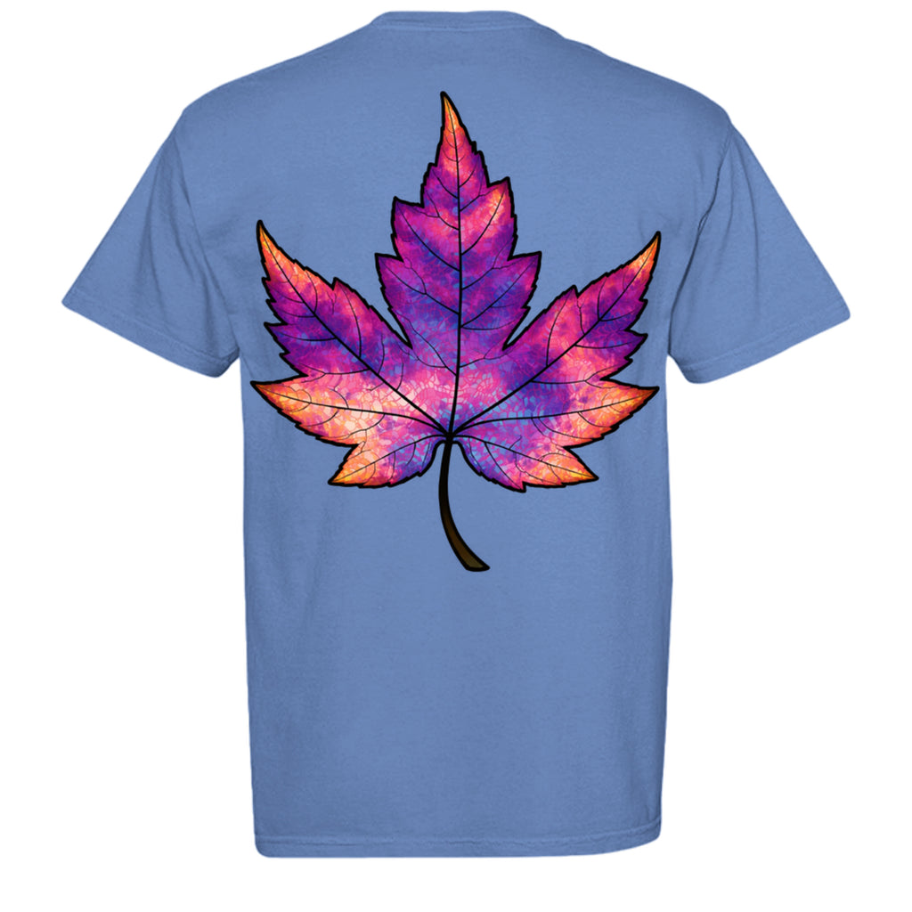 MYSTIC BLUE - C1717 - BACK