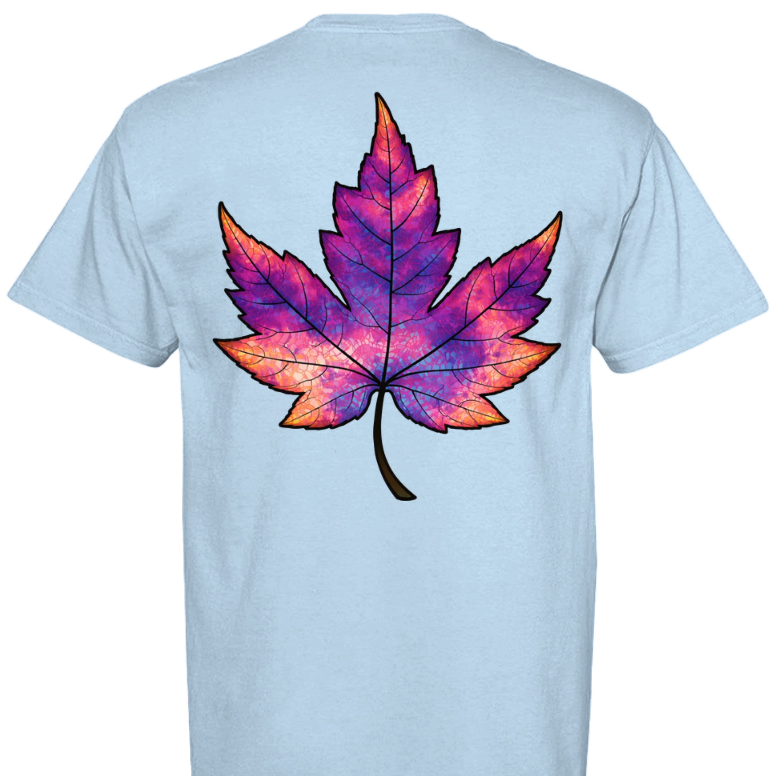 Hydrangea - C1717 - BACK