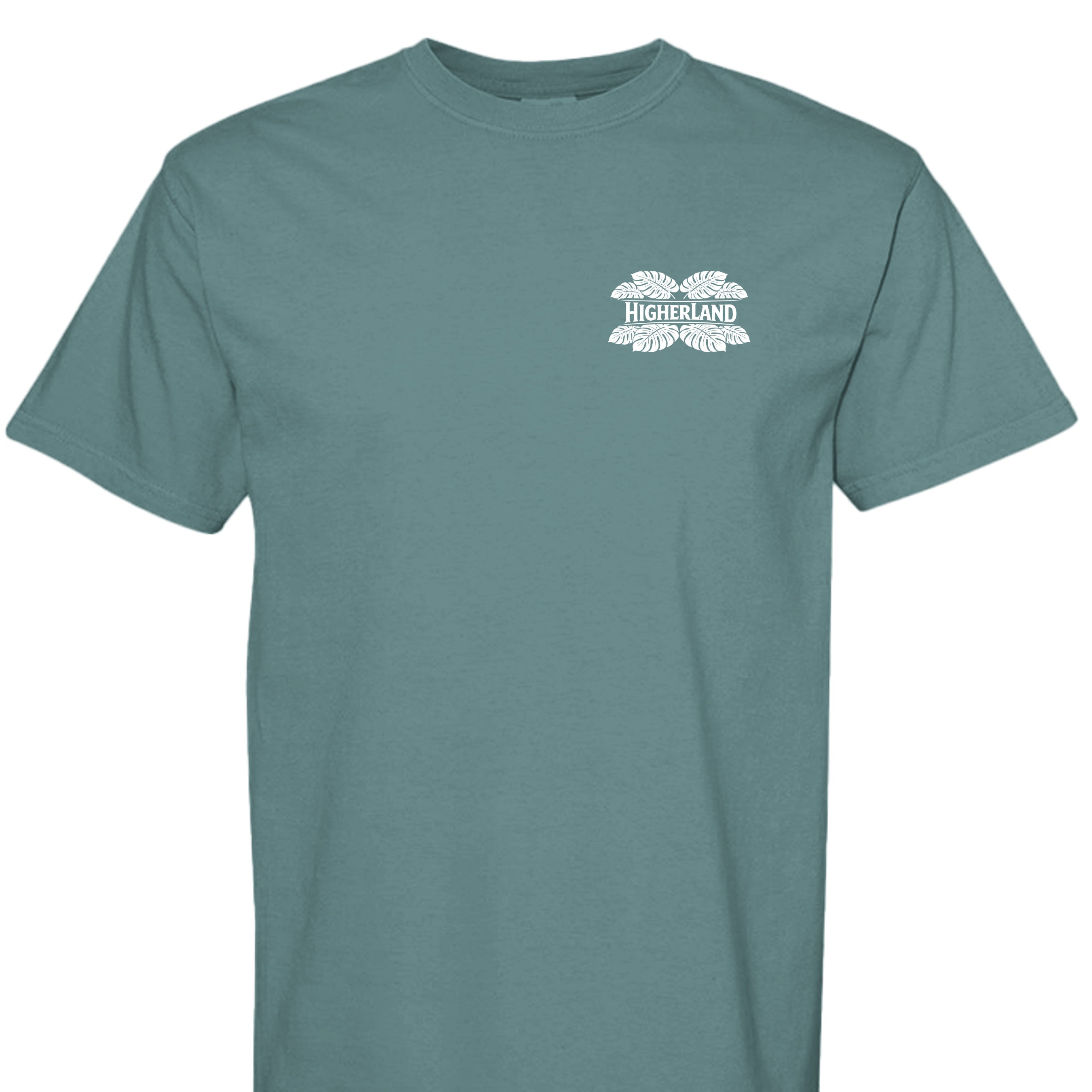 ICE BLUE - C1717 - FRONT