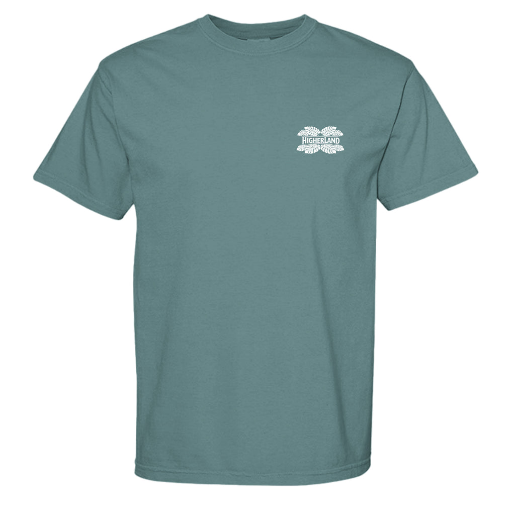 ICE BLUE - C1717 - FRONT