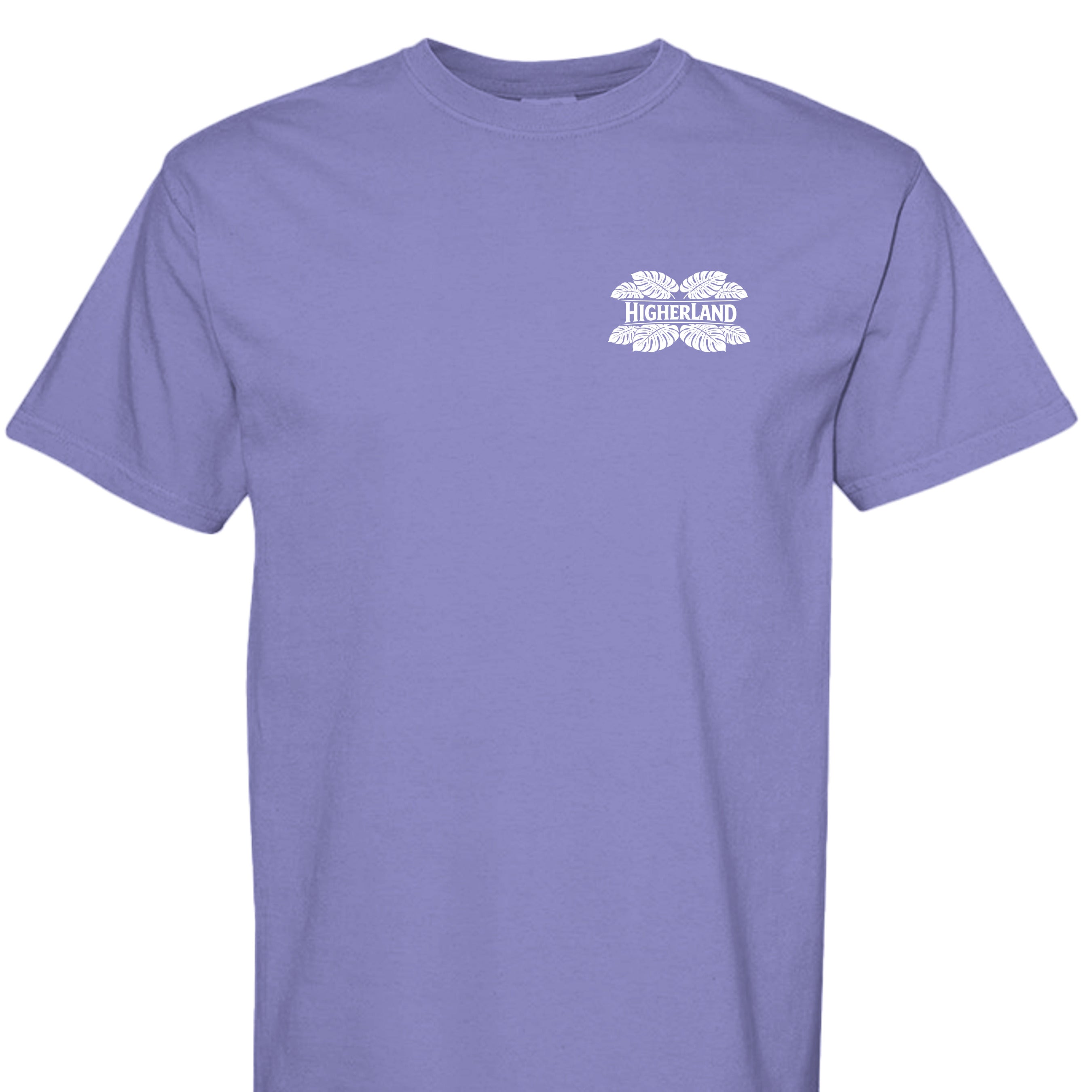 VIOLET - C1717 - FRONT