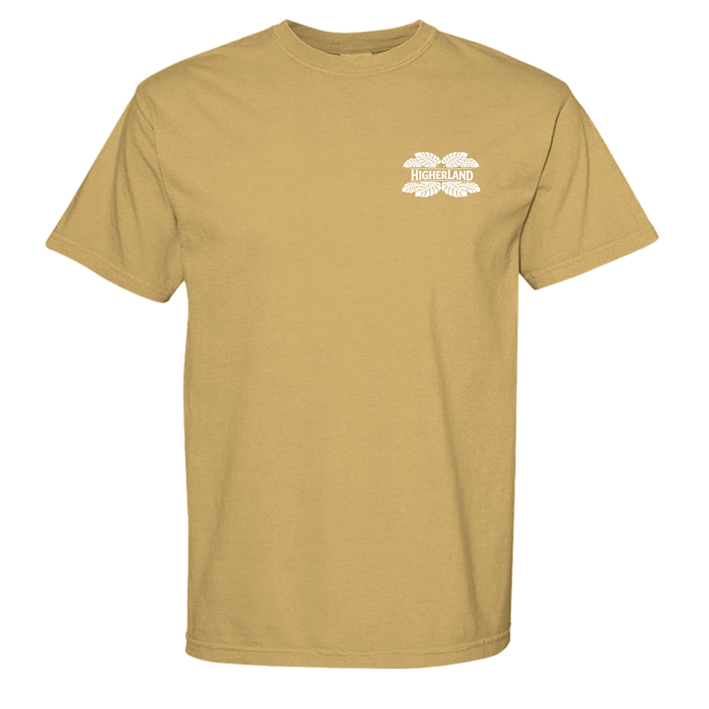 MUSTARD - C1717 - FRONT