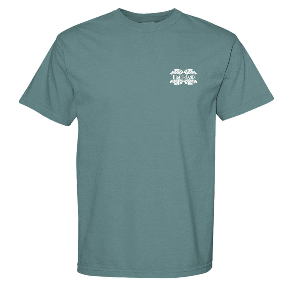 ICE BLUE - C1717 - FRONT