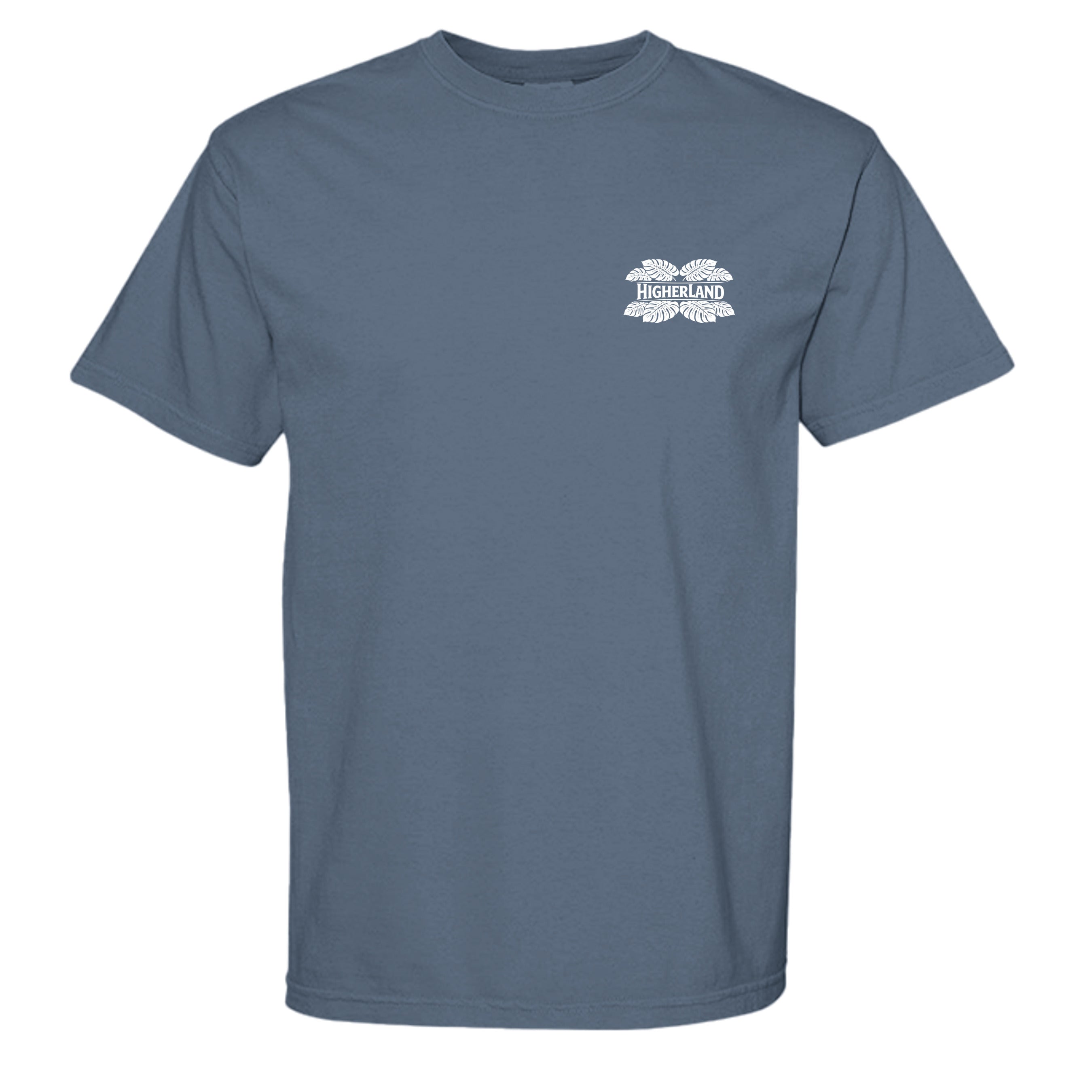 BLUE JEAN - C1717 - FRONT