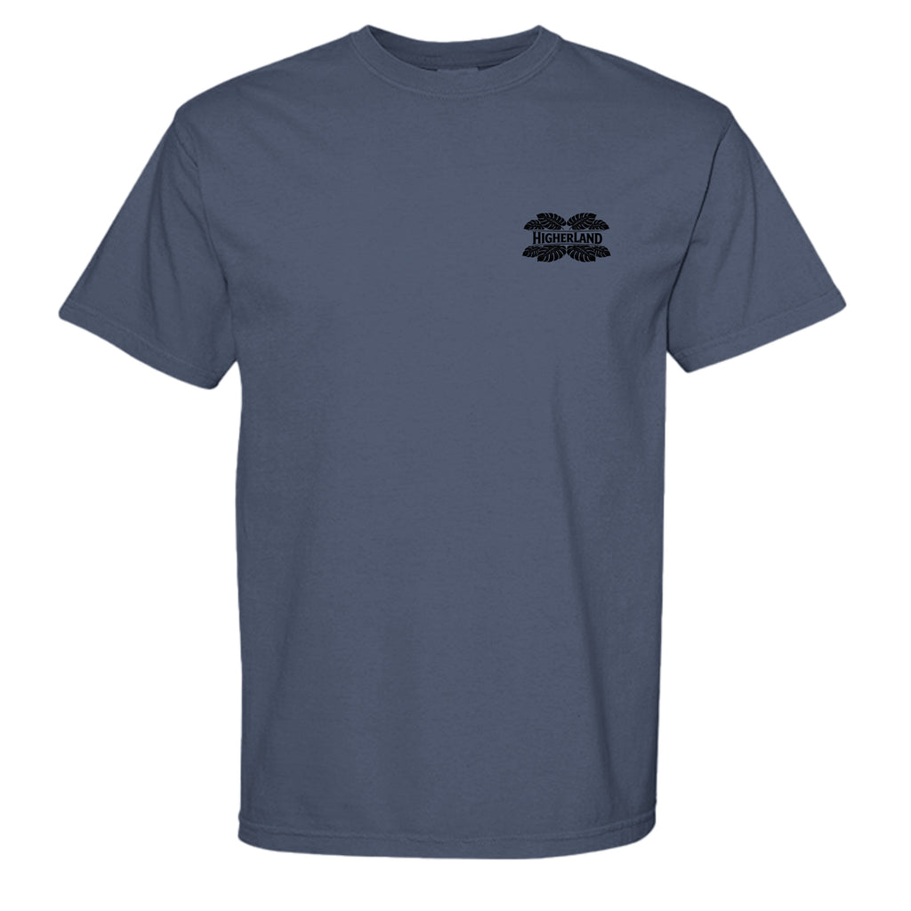 CHINA BLUE - C1717 - FRONT