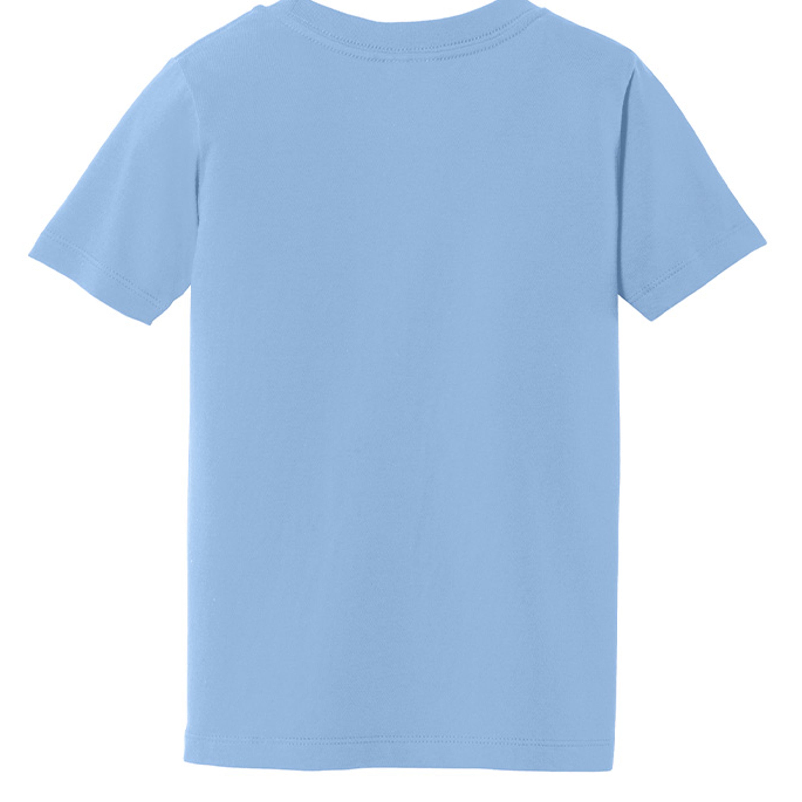 Light Blue - PC450TD - BACK