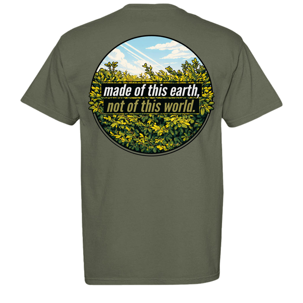 MOSS - C1717 - BACK